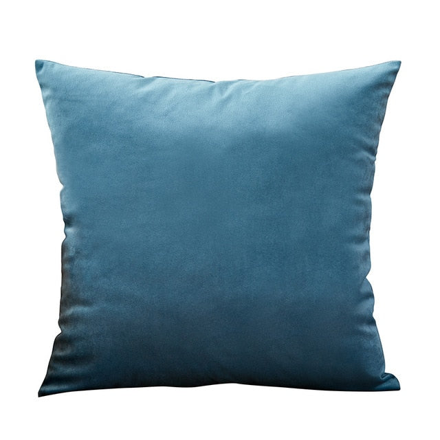 Blue Pillow Velvet