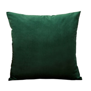 Blue Pillow Velvet