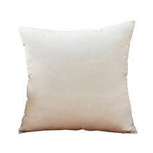Load image into Gallery viewer, Blue Pillow Velvet