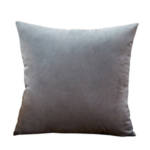 Blue Pillow Velvet