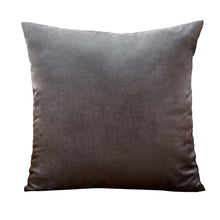 Load image into Gallery viewer, Blue Pillow Velvet