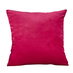 Blue Pillow Velvet