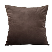 Load image into Gallery viewer, Blue Pillow Velvet