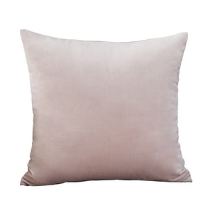 Blue Pillow Velvet
