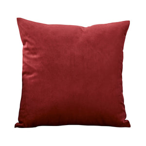 Blue Pillow Velvet