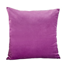 Load image into Gallery viewer, Blue Pillow Velvet